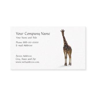 Giraffe Zoologist