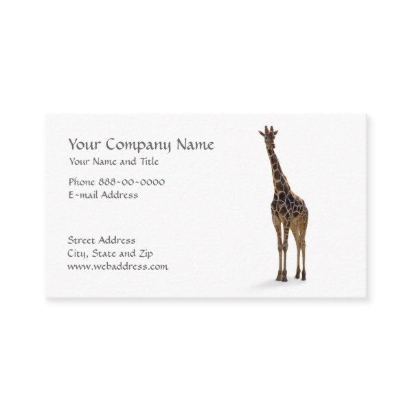 Giraffe Zoologist