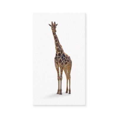 Giraffe Zoologist