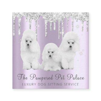 Glam Lavender Glitter Drips Poodle Pet Sitting Square