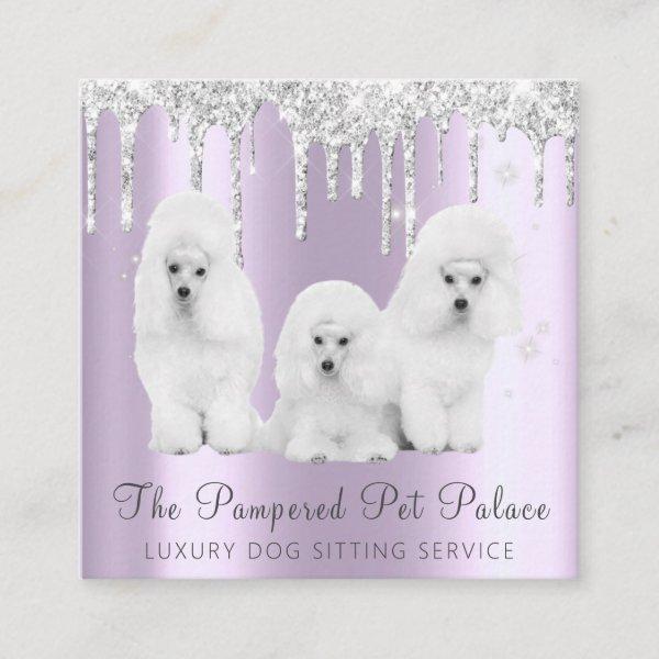 Glam Lavender Glitter Drips Poodle Pet Sitting Square