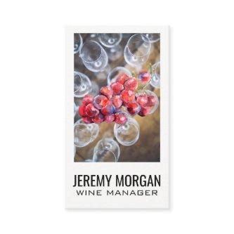 Glasses of Wine | Grapes on Vine