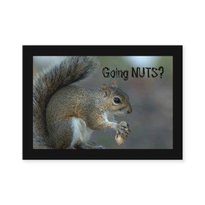 Going nuts
