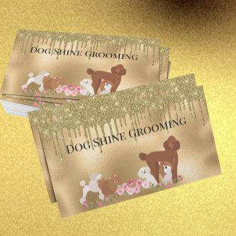 Gold Dog Grooming Glitter Pet Services