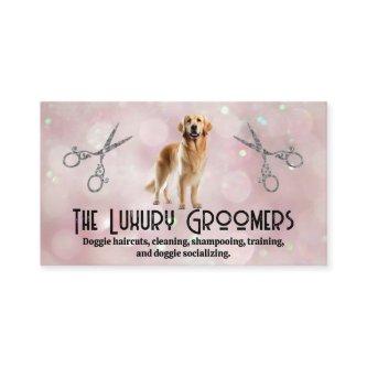Golden Brown Dog | Scissors | Bokeh