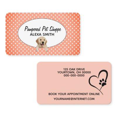 Golden Retriever on Polka Dots for Pet Grooming