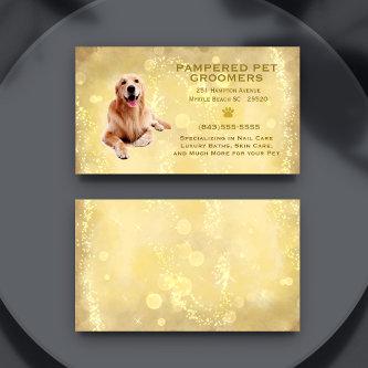 Golden Retriever Pet Groomer Spa