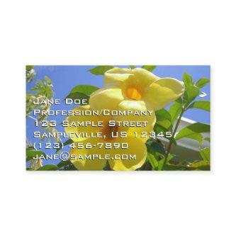 Golden Trumpet Flowers I