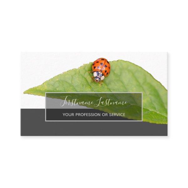 Good luck dotted ladybugs elegant gray rectangle b
