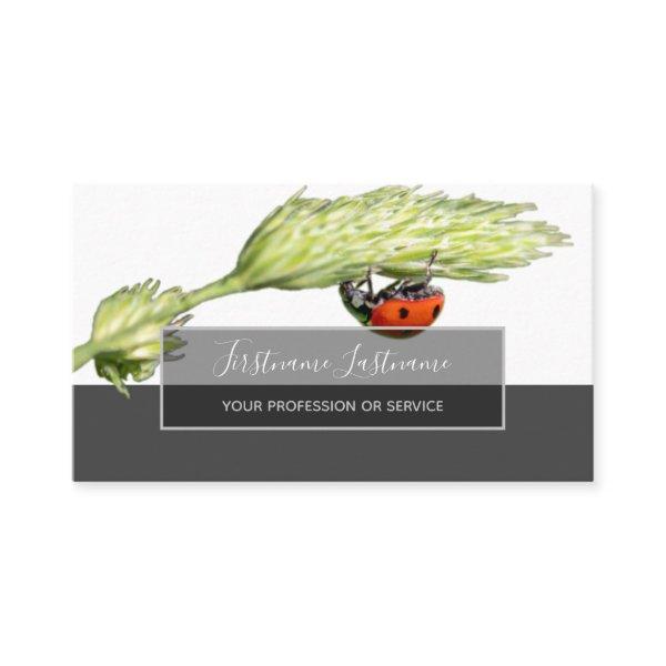Good luck dotted ladybugs elegant gray rectangle