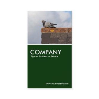 Good Morning Pigeon - Dark Green