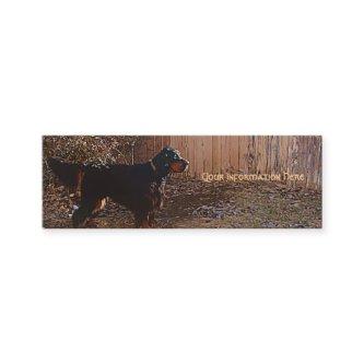 Gordon Setter Bookmark