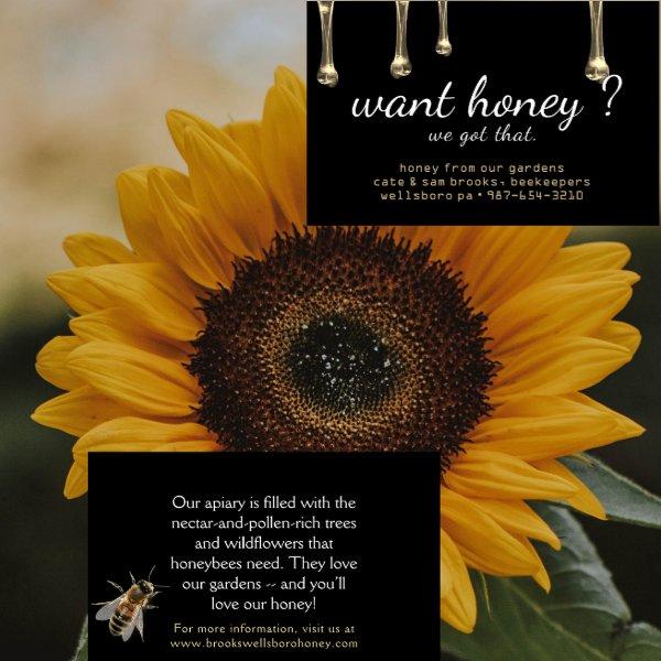 Got Honey? Gold Drips Realistic Bee Black Apiary