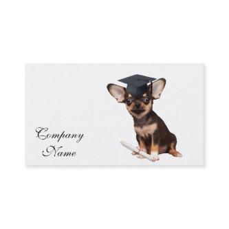 Graduation Chihuahua dog Calling Card