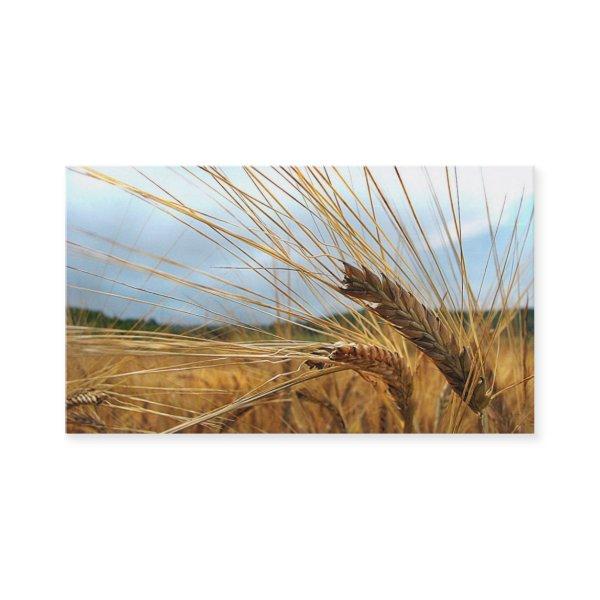 Grain Emporium