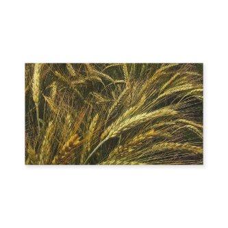 Grain Market