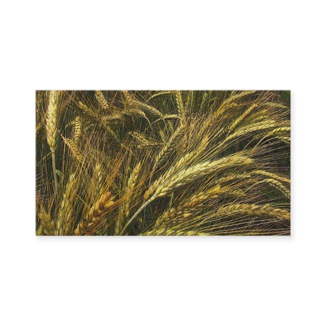 Grain Market