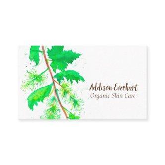 Grape Leaf Vines Fruit Plant Watercolor Green