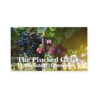 Grapes on the Vine | Winery Vineyard
