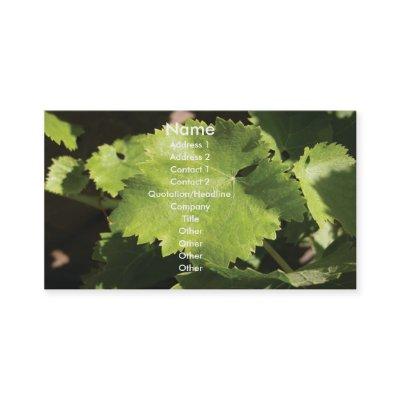 Grapes Vine Leaves