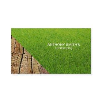 Grass and Wood 2