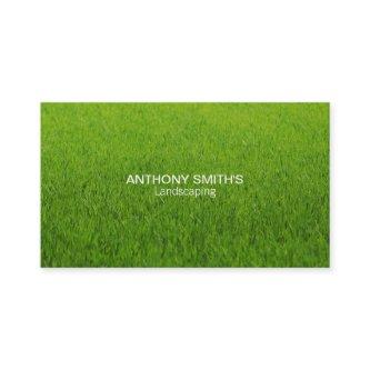 Grass