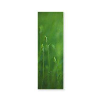 Grass - Green Grasses Background Template Mini