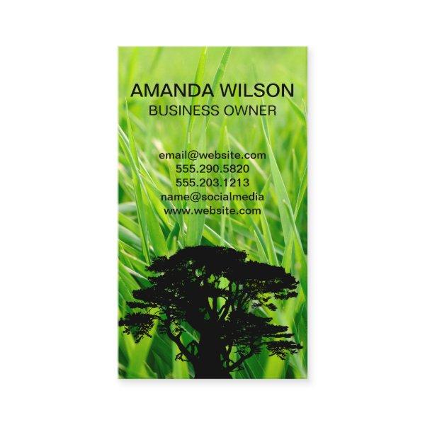 Grass | Landscaping | Gardener