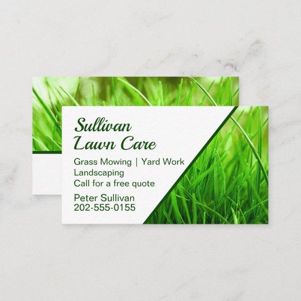 Grass Lawn Care Mowing Business