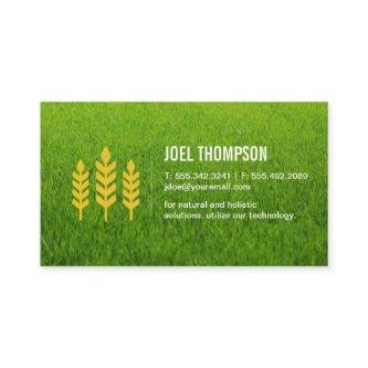Grass Natural | Wheat Icon