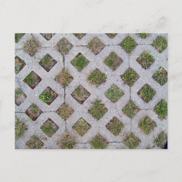 Grass Paver With Checkered Pattern Postcard