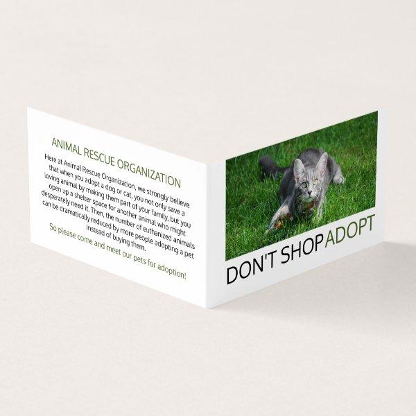 Gray Cat on Grass, Pet Adoption Detailed