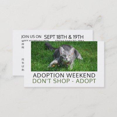 Gray Cat on Grass, Pet Adoption Event Advertising