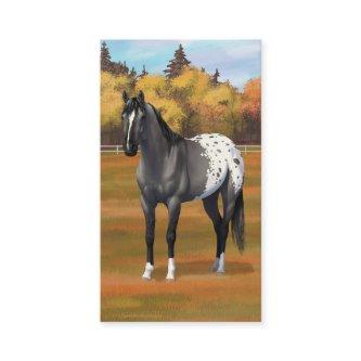 Gray Grulla Appaloosa Quarter Horse Stallion