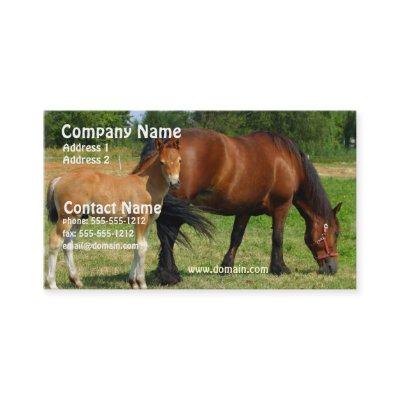 Grazing Horse Family