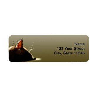 Green and Grey Cat Nap Label