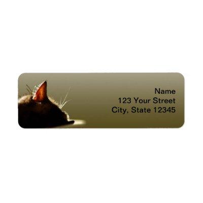 Green and Grey Cat Nap Label
