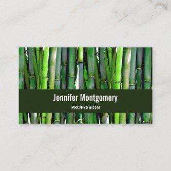 Green Bamboo Stalks Nature Photography