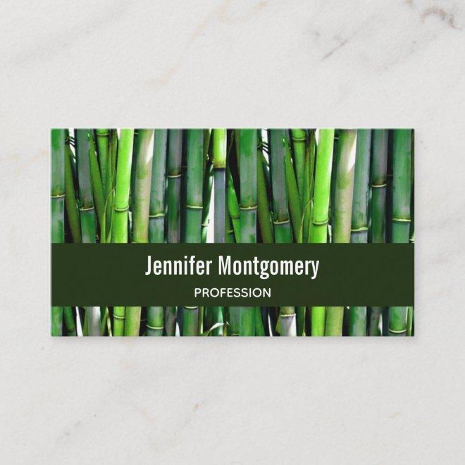 Green Bamboo Stalks Nature Photography