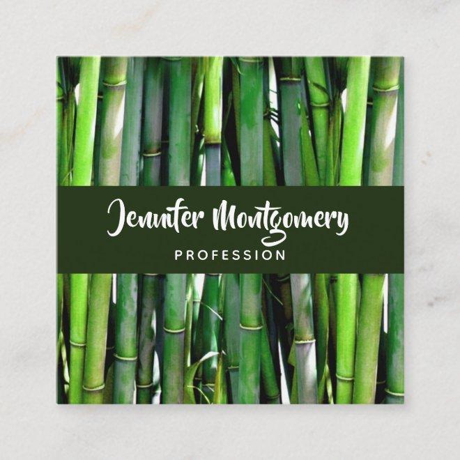 Green Bamboo Stalks Nature Photography Square Square