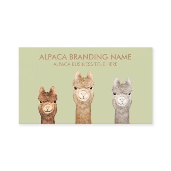 Green Brown Alpaca Animal