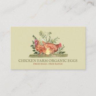 Green Chicken Farm Fresh Eggs rooster