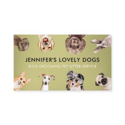 Green Cute Small Size Dogs Pet Sitter
