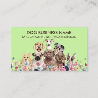 Green Dog grooming boutique pet sitter puppies