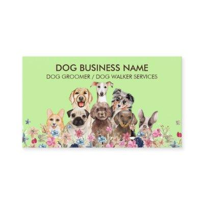 Green Dog grooming boutique pet sitter puppies