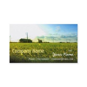 Green Filed Blue Sky White Cloud Nature Farm