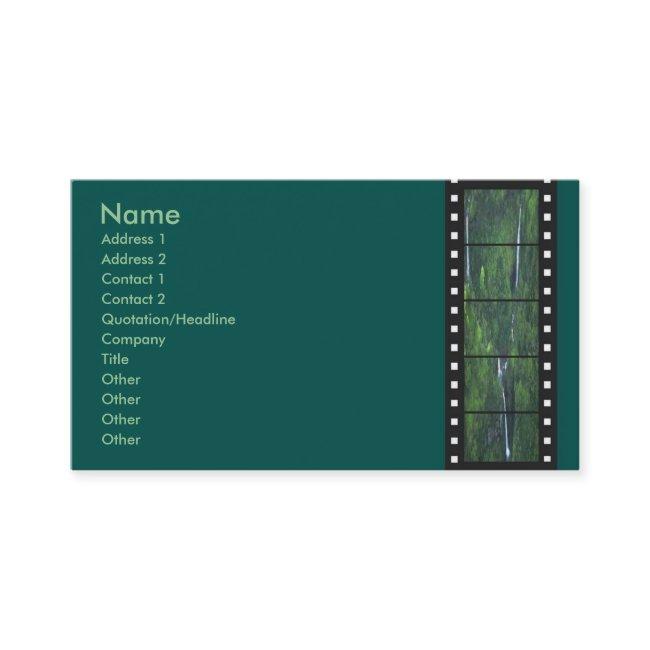 Green Forest Filmstrip Profile Card