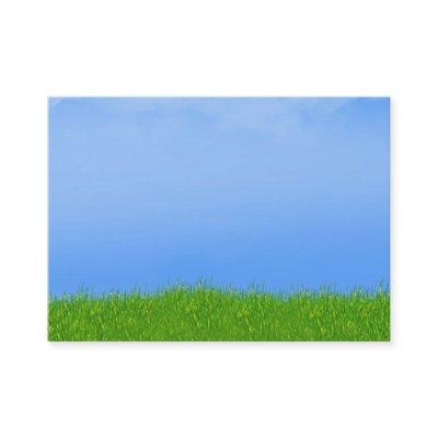 Green Grass & Blue Sky Background
