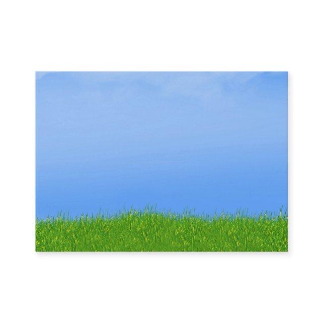 Green Grass & Blue Sky Background