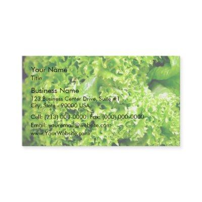 Green Hydroponic lettuce leaves